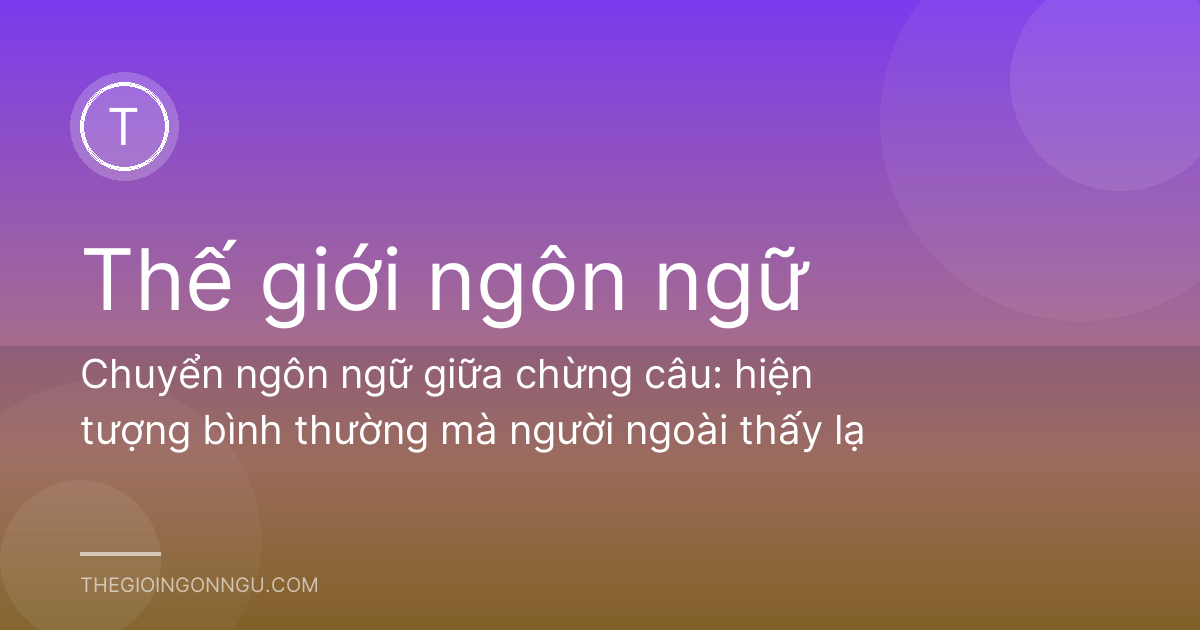 Chuyển ngôn ngữ giữa chừng câu: hiện tượng bình thường mà người ngoài thấy lạ